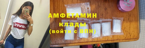 мдпв Михайлов