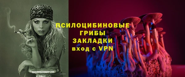 гидропоника Артём