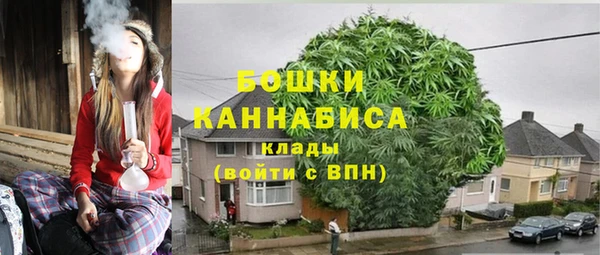 PSILOCYBIN Абинск