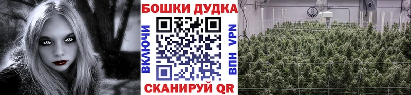 kraken как войти  Комсомольск-на-Амуре  Бошки марихуана семена 